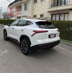 جیتۆر داشينگ